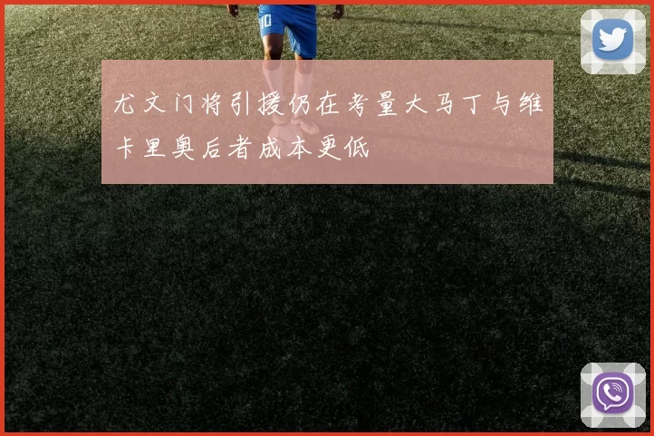 尤文门将引援仍在考量大马丁与维卡里奥后者成本更低